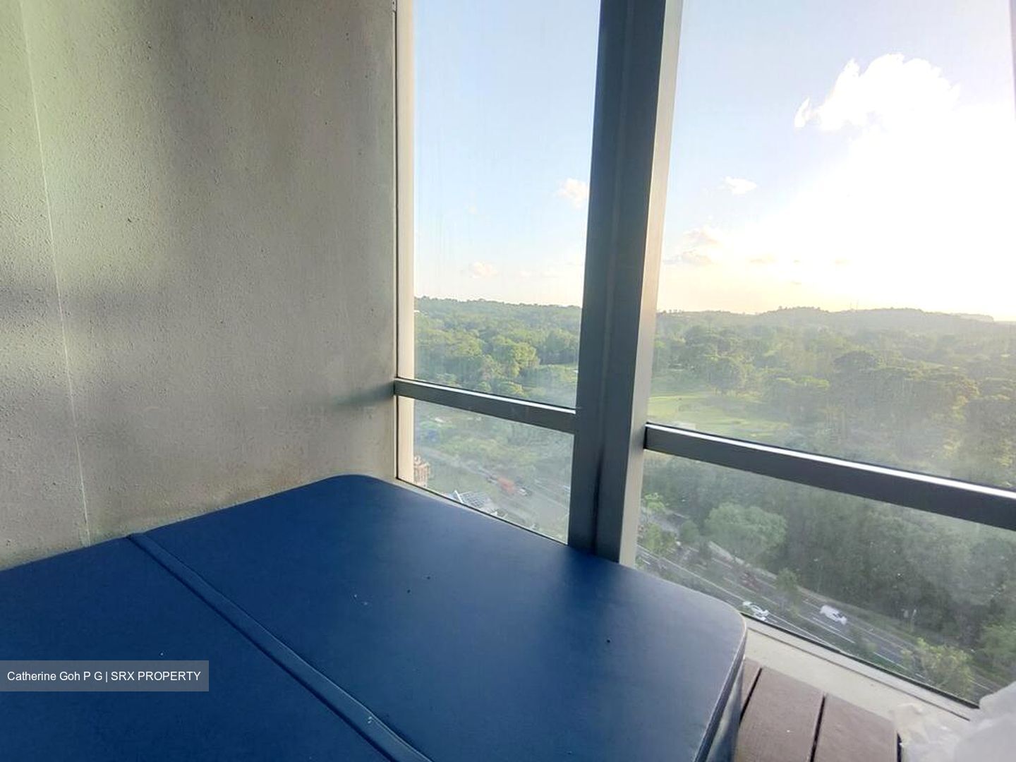 Thomson Grand (D20), Condominium #517005251